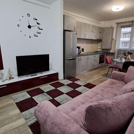 Ludi House Apartment Târgu-Mureş Eksteriør billede