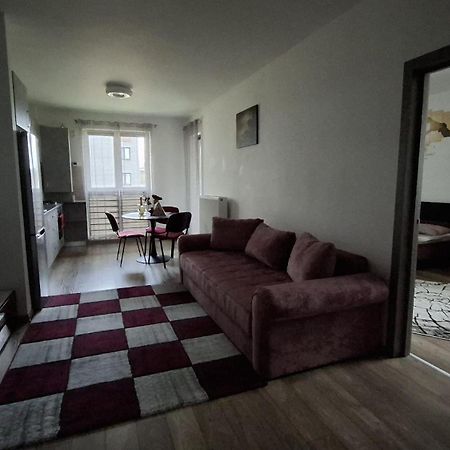 Ludi House Apartment Târgu-Mureş Eksteriør billede