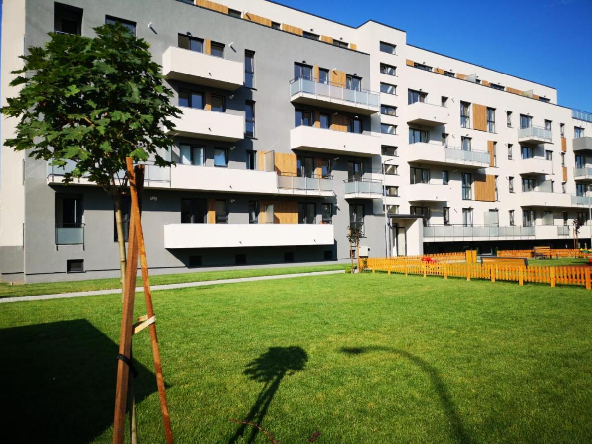Ludi House Apartment Târgu-Mureş Eksteriør billede